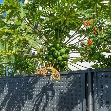 Apartman Medano4you The Strelitzia Terrace El Médano