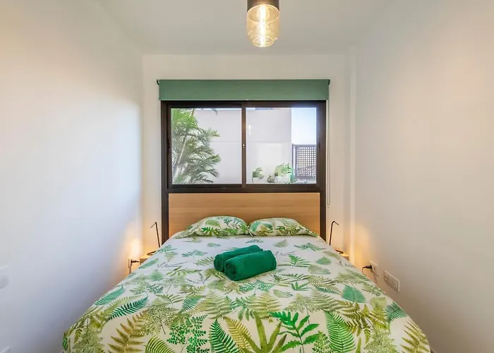 Medano4you The Strelitzia Terrace El Médano