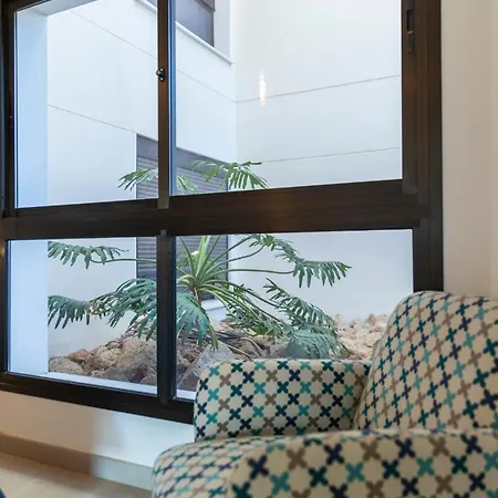 Medano4you The Strelitzia Terrace *