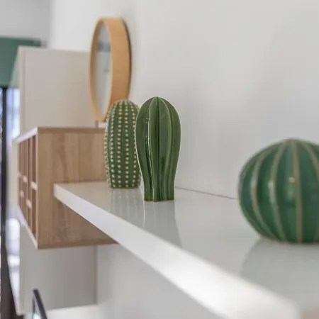 Medano4you The Strelitzia Terrace