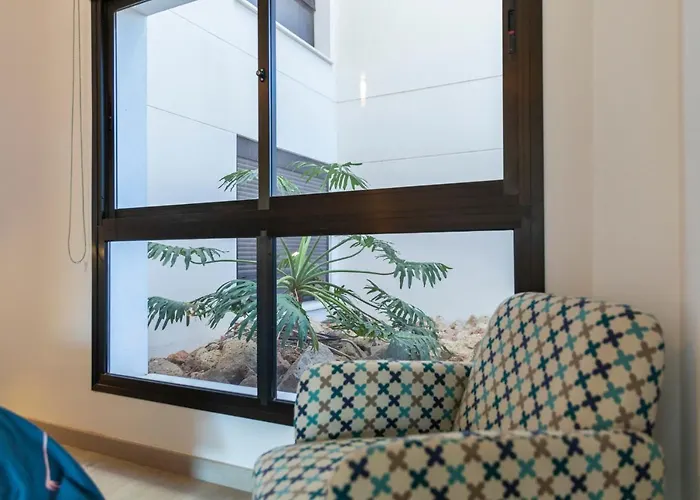 Medano4you The Strelitzia Terrace *