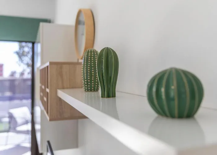 Medano4you The Strelitzia Terrace